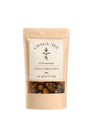 Chaga-Tee | UR-Kraut