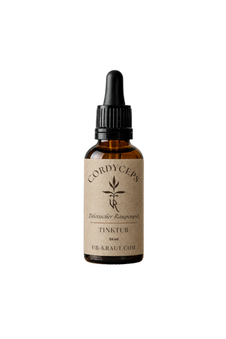 Cordyceps-Tinktur | UR-Kraut