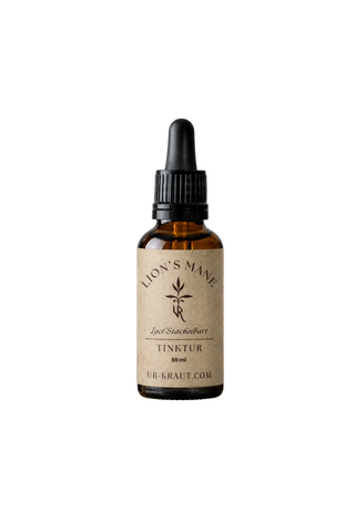 Lion´s Mane-Tinktur | UR-Kraut