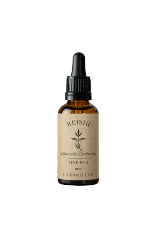 Reishi-Tinktur | UR-Kraut